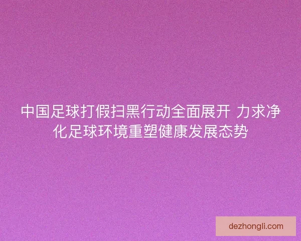 中国足球打假扫黑行动全面展开 力求净化足球环境重塑健康发展态势